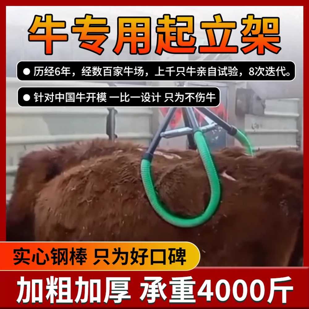 카우리프트 가축 젖소 걸이 견인기 사육장 리프팅 : 낭만만물상