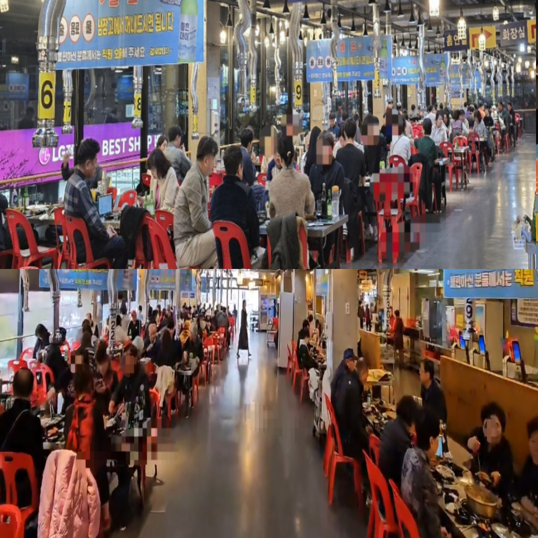 국내산 강도다리 원물1kg내외 세꼬시 당일손질 생선회 창원맛집 동부회센타(손질후 400g) : 동부회센타 온라인몰