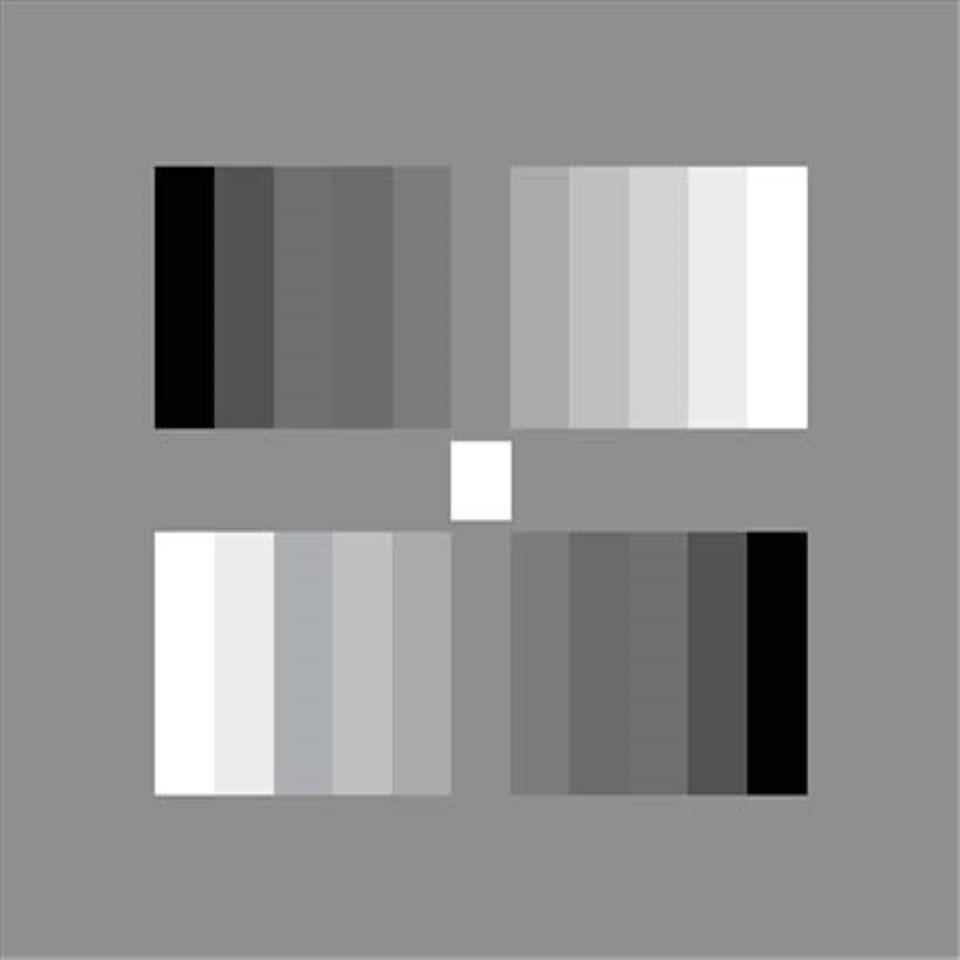 Charttu ITE II 그레이 스케일 차트 (0.45) 테스트 4:3 검사기, 컬러 체크 카메라, 웹캠 해상도, 맞춤형 반사 : 형신무역