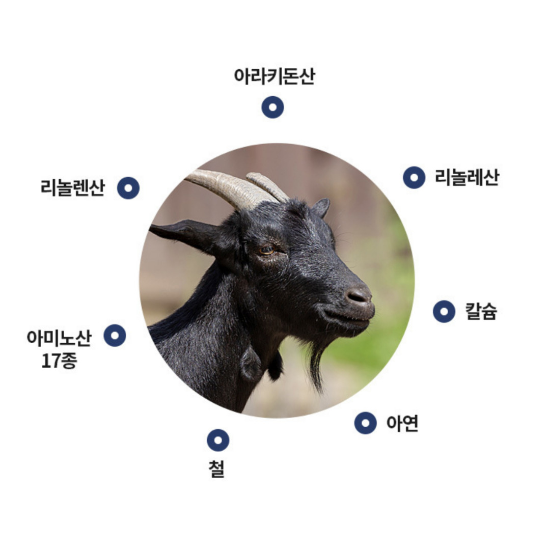 1+1 뽕잎 먹고 자란 흑염소 진액 건강즙 염소 액기스 : 프로젝트9999