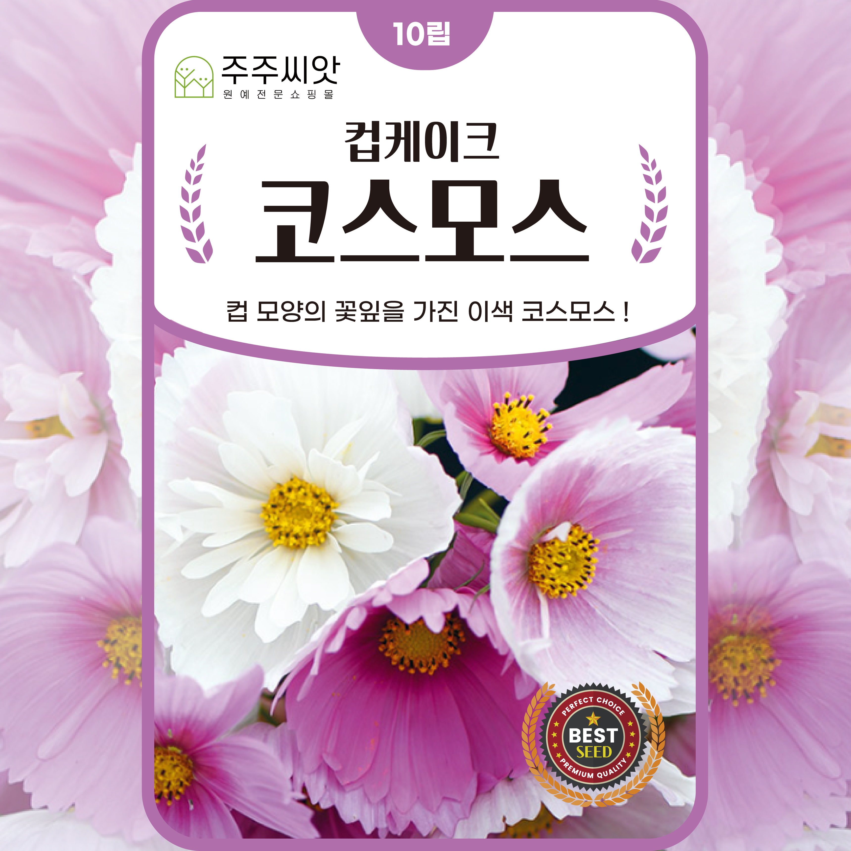 코스모스씨앗 10립 컵케이크코스모스 종자 씨 꽃씨 몰 봄 가을 파종 : 주주씨앗