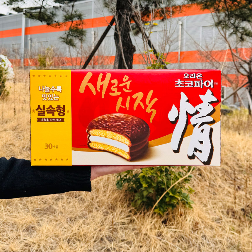 오리온 초코파이 정 39g 30개 실속형 : 코코리빙마트