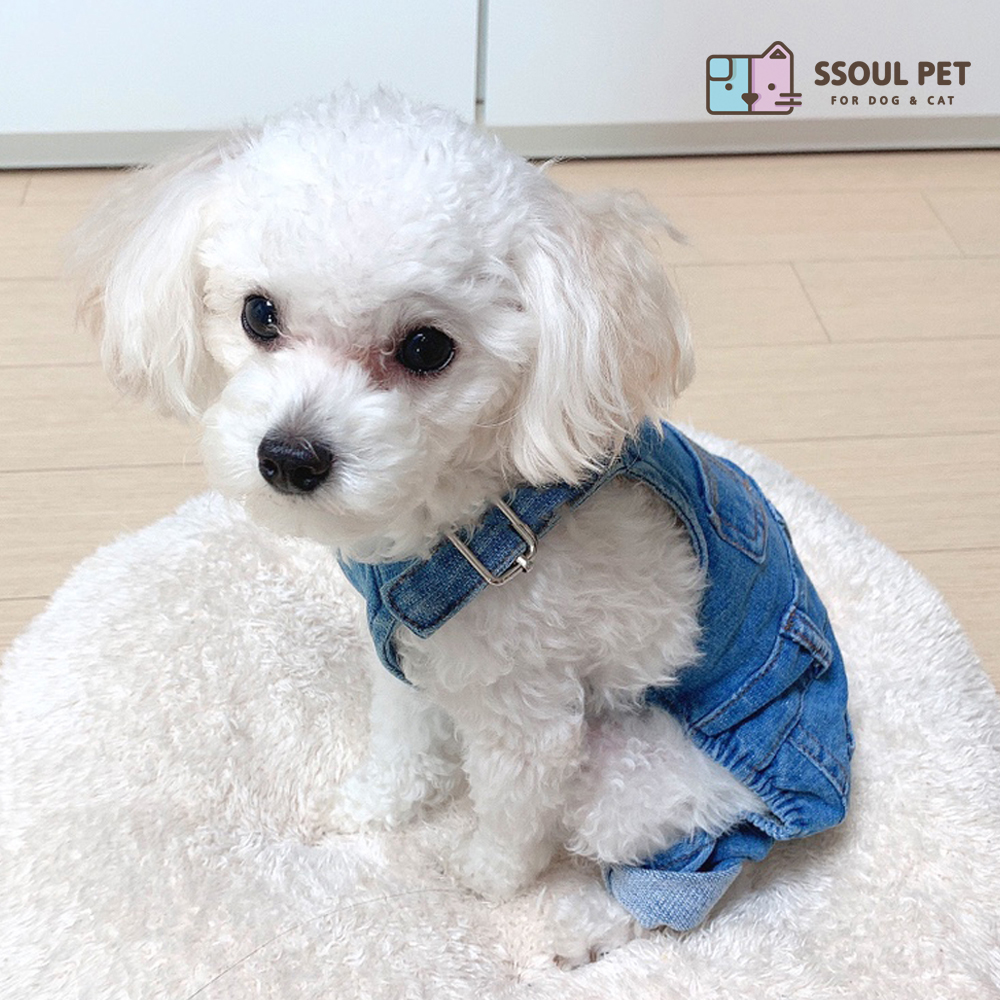 쏘울펫 강아지 멜빵바지 티셔츠 애견 몸빼 청바지 실외복 실내복 베이직 사계절 옷 : 쏘울펫