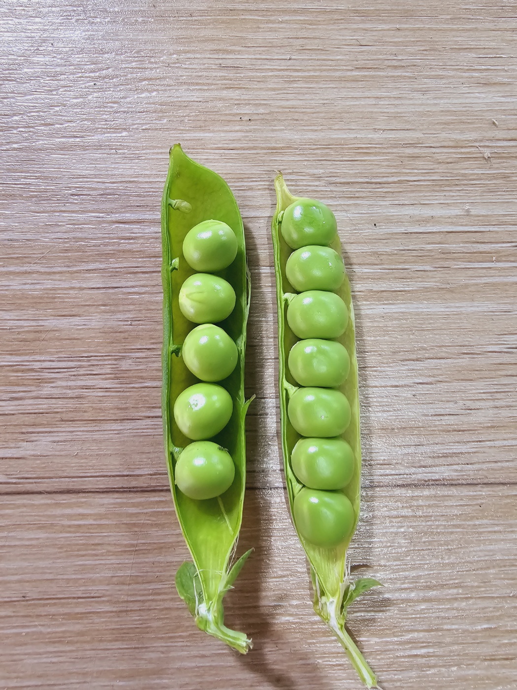 24년 국내산 햇 완두콩 1kg 이유식 깐완두콩 : 남해소띠농부