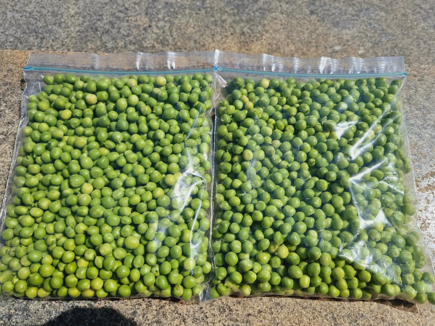 24년 국내산 햇 완두콩 1kg 이유식 깐완두콩 : 남해소띠농부