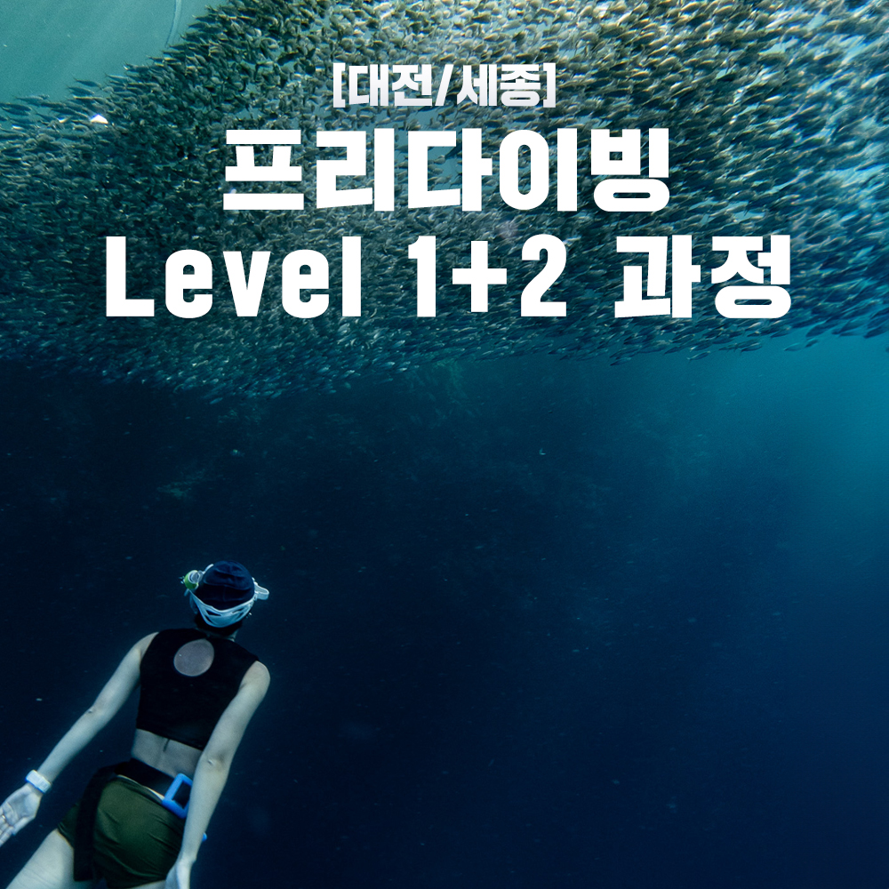 [대전, 세종] 프리다이빙 입문과정 패키지 - AIDA, PADI, SNSI, UTA : One Dive Shop