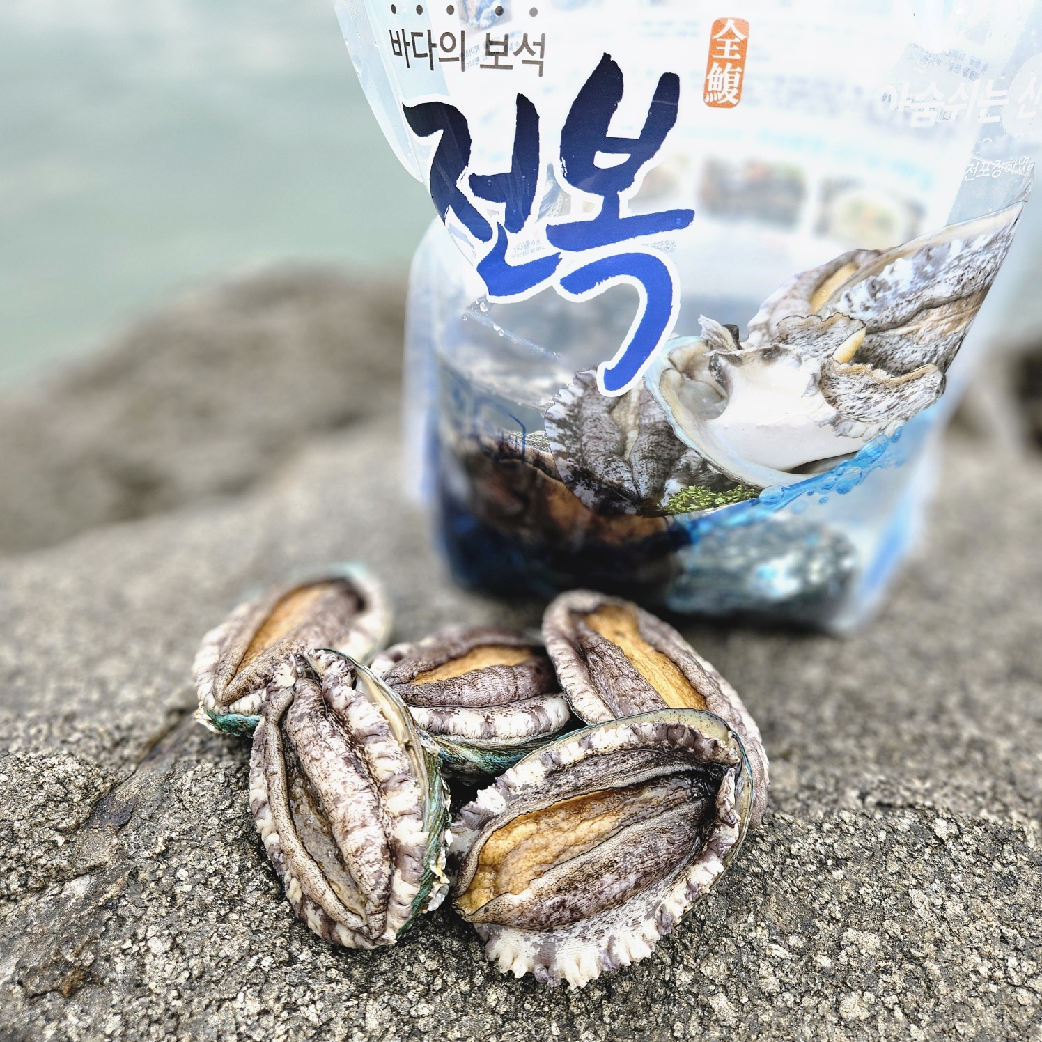국내산 신안 완도 황제 활 전복 산소포장 1kg : 황제전복