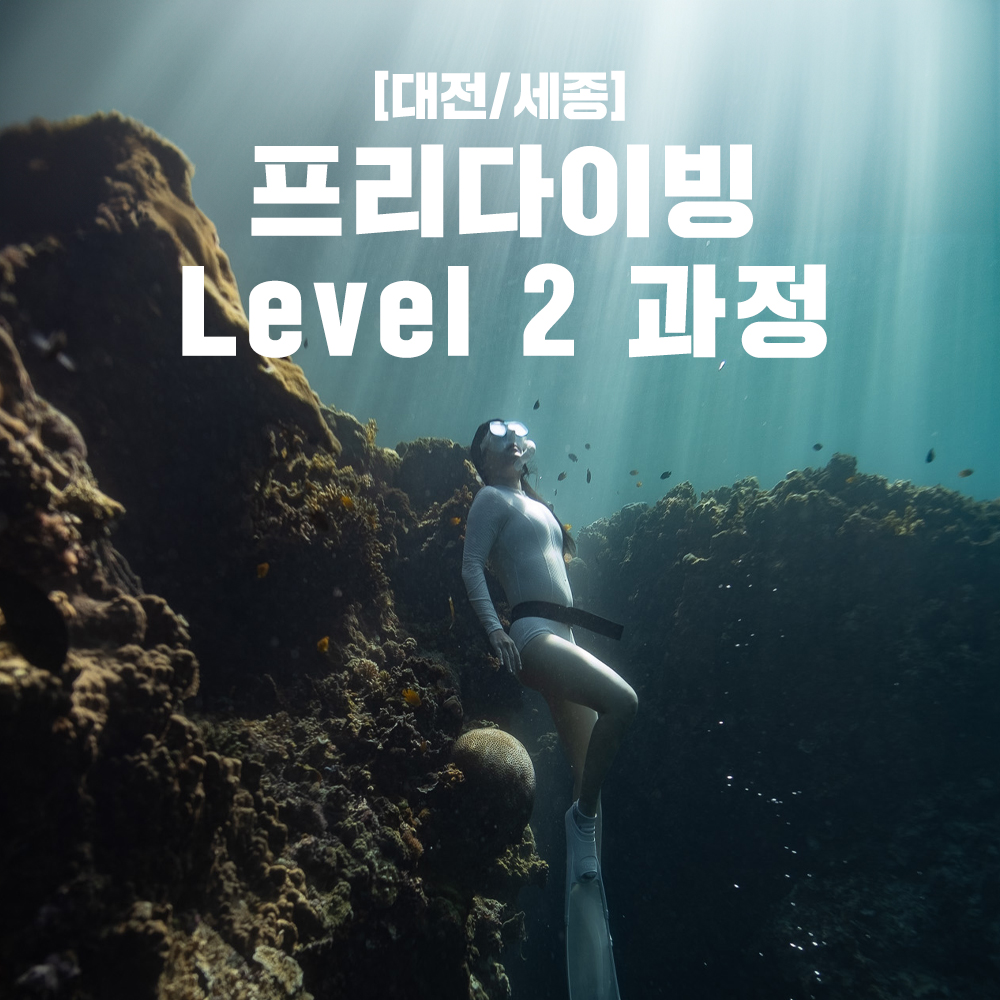 [대전, 세종] 프리다이빙 Level 2 - AIDA, PADI, SNSI, UTA : One Dive Shop