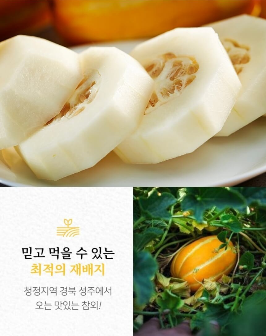 성주 참외 가정용 1.8kg : 일만상회