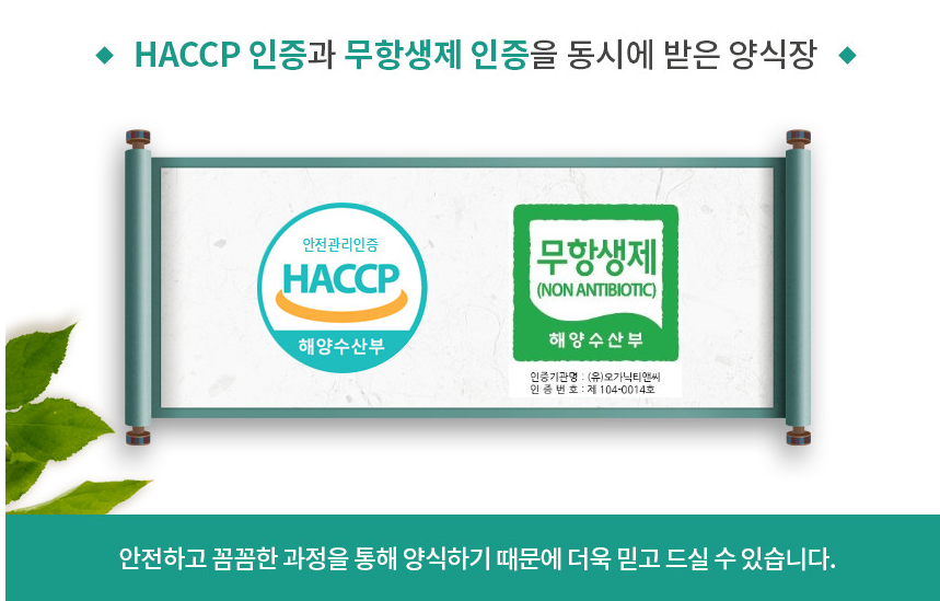 국내산 키토산  무항생인증 장어 풍천장어 피로회복 : 더좋은씨푸드