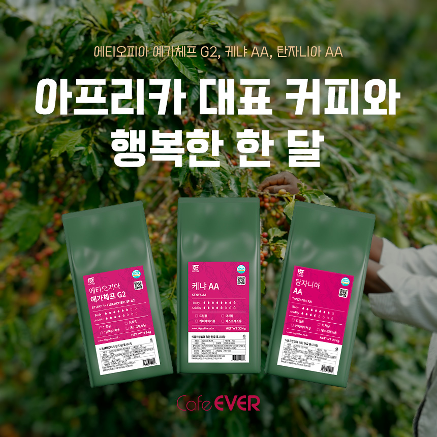 카페에버 아프리카 한달커피 소용량 3종 334g 3봉 : 카페에버
