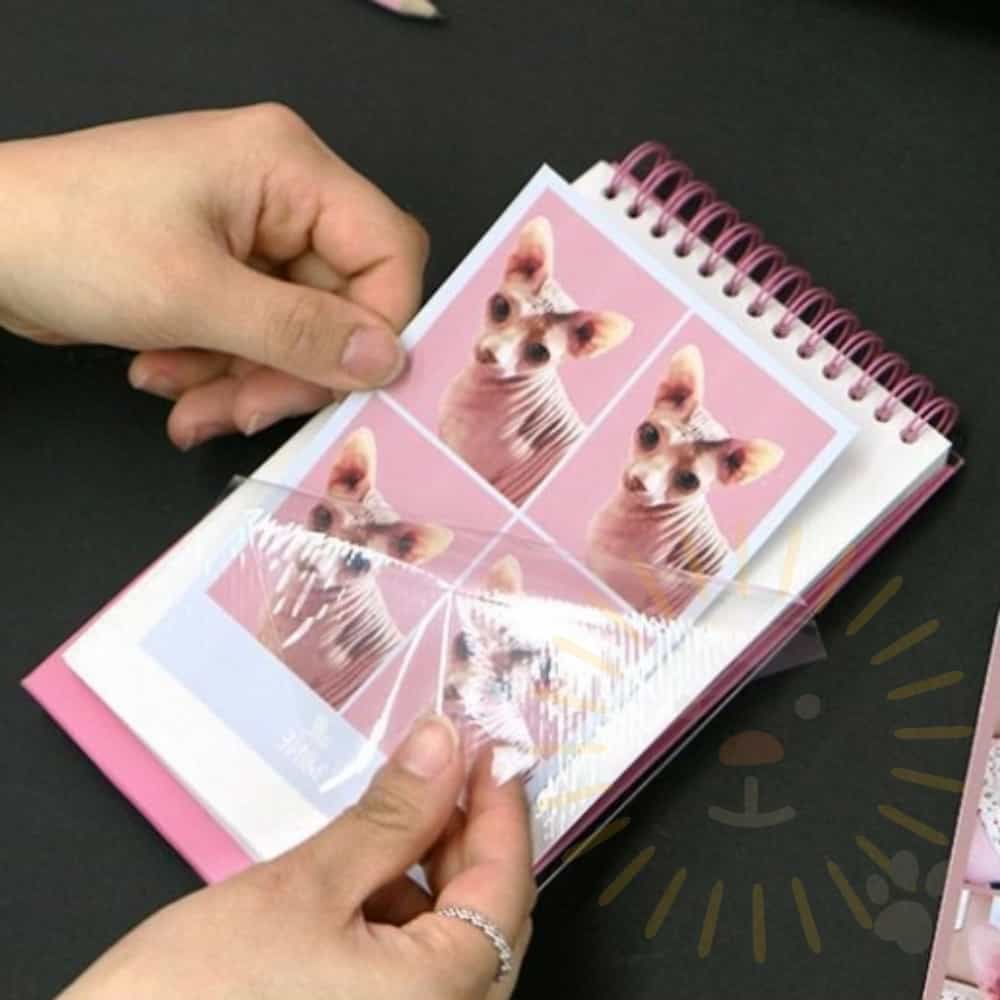 단디 탁상 앨범 사진첩 4컷사진앨범 : 단디프랜드