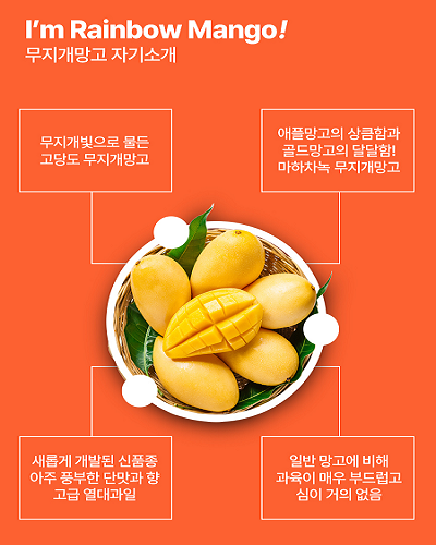한가득팜 항공직송 태국 마하차녹 무지개망고 : 솔루션365