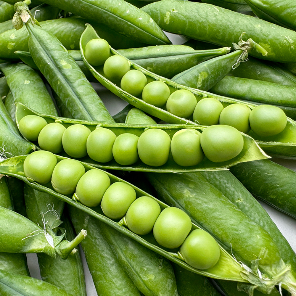 채소다움 25년 햇 수확 국내산 껍질 깐 완두콩 500g 1kg 2kg 4kg : 채소 다움