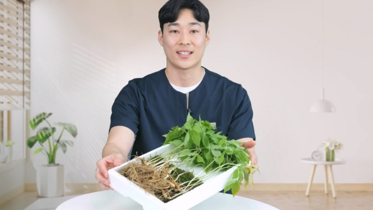 국내산 산삼 산양산삼 장뇌삼 5-6년근 산양삼 : 한국 임산물 거래소