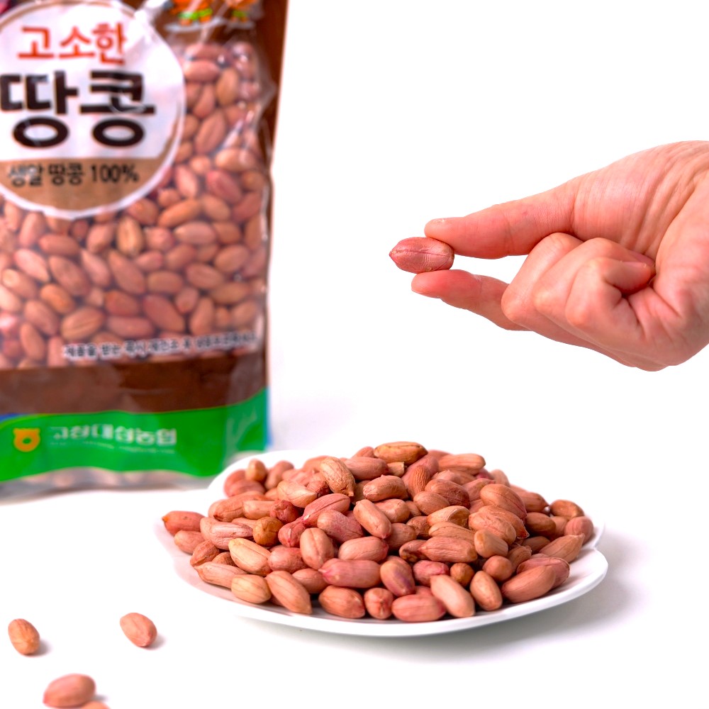 대성농협 2024 햇땅콩 생땅콩 생알땅콩 1kg : 고창 마켓