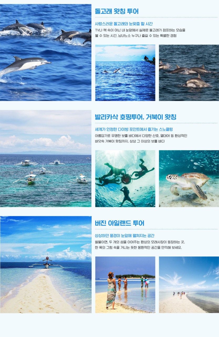 캔디여행사 [부산출발] 세부 보홀 3박5일 패키지여행 매일출발 : 캔디투어