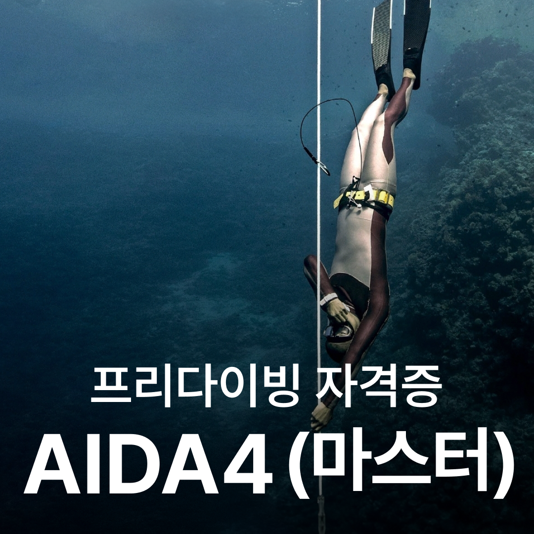 AIDA4(마스터) : 제주 난바다프리다이브