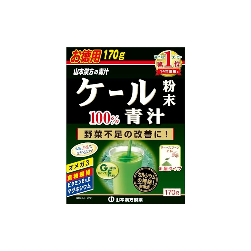 야마모토한방제약 야마모토 한방 케일 분말 100% 녹즙 170g : Mori Trading