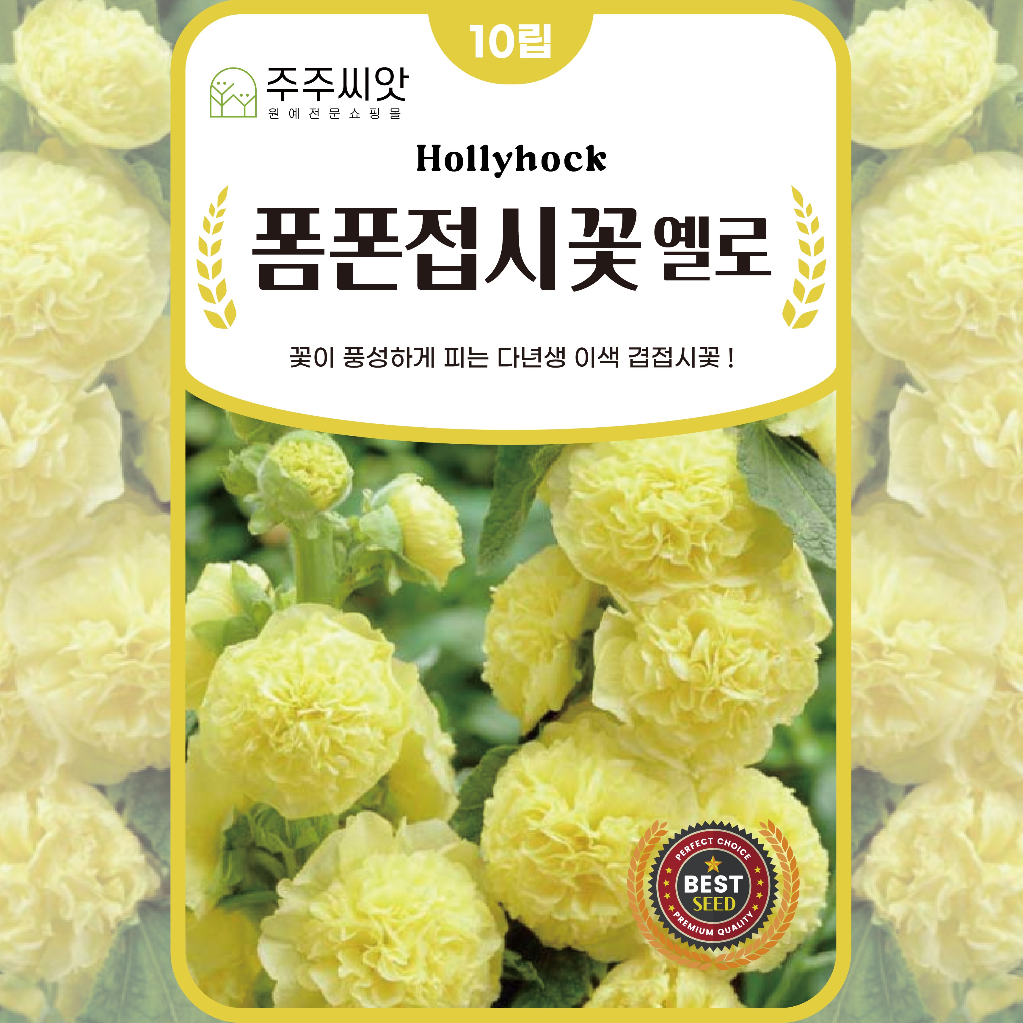 폼폰 접시꽃씨앗 10립 하모니핑크 겹접시꽃 종자 씨 노란색 꽃씨몰 종자 노지월동 야생화 : 주주씨앗