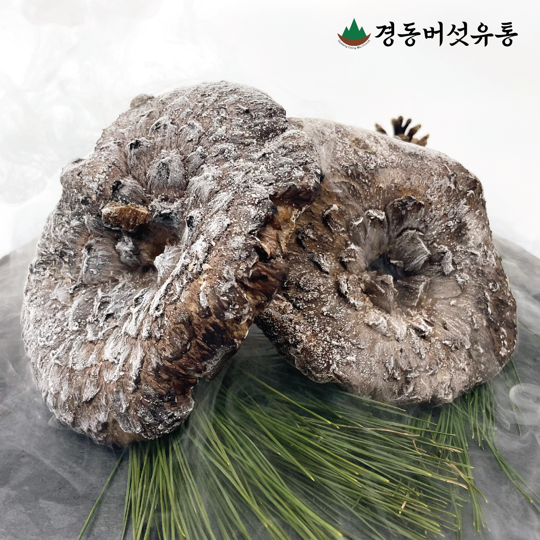 자연산 능이버섯 냉동 1kg 건조능이버섯 100g : 경동버섯유통