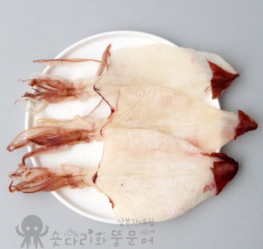 한치(5마리) : 삼부자네건어물대구서재점