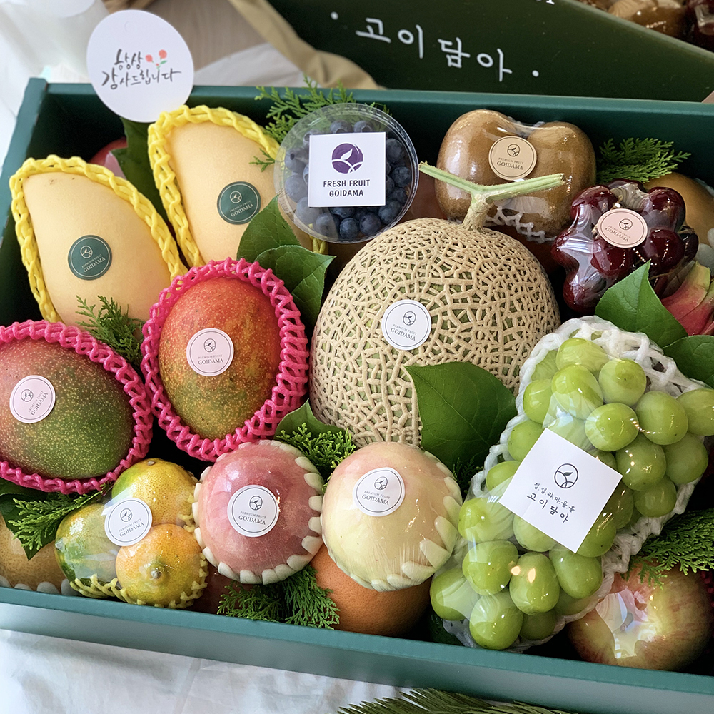 VIP 혼합과일 고이담아 예단 백화점 과일바구니 신부이바지음식 인사 명절선물 과일선물세트 : 과일 고이담아