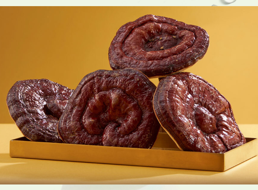 국산 말린 영지버섯 조각 500g 1kg : 애플농원