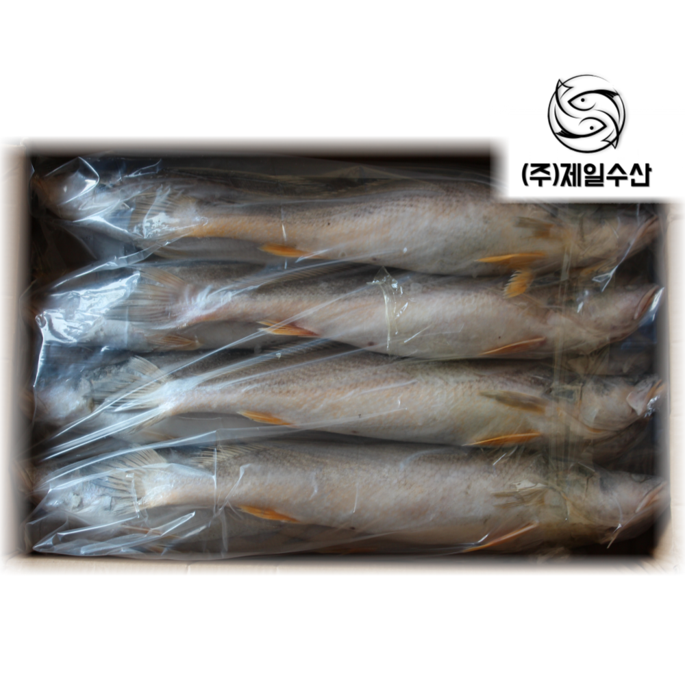 조기 뾰족민어 M 13kg 18마리 : 주식회사 제일수산