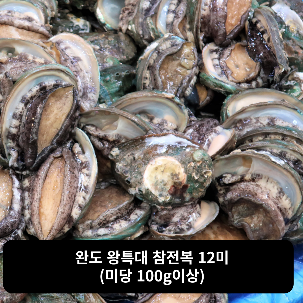 [현탑] 완도 왕특대 참전복 12미(미당 100g이상) : 율이오니
