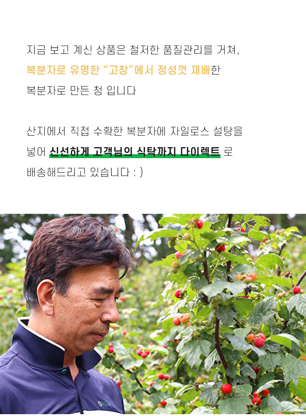고창 복분자청 블랙베리 액기스 원액 1L : 춘식이네농장