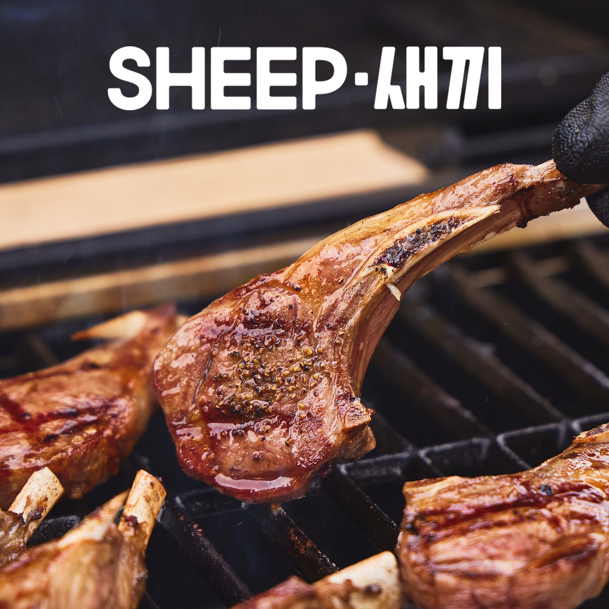 SHEEP새끼 양갈비 모음전 - 프렌치랙, 숄더랙, 큐브양꼬치, 캠핑 파티음식 양고기 스테이크 쉽새끼 : SHEEP새끼