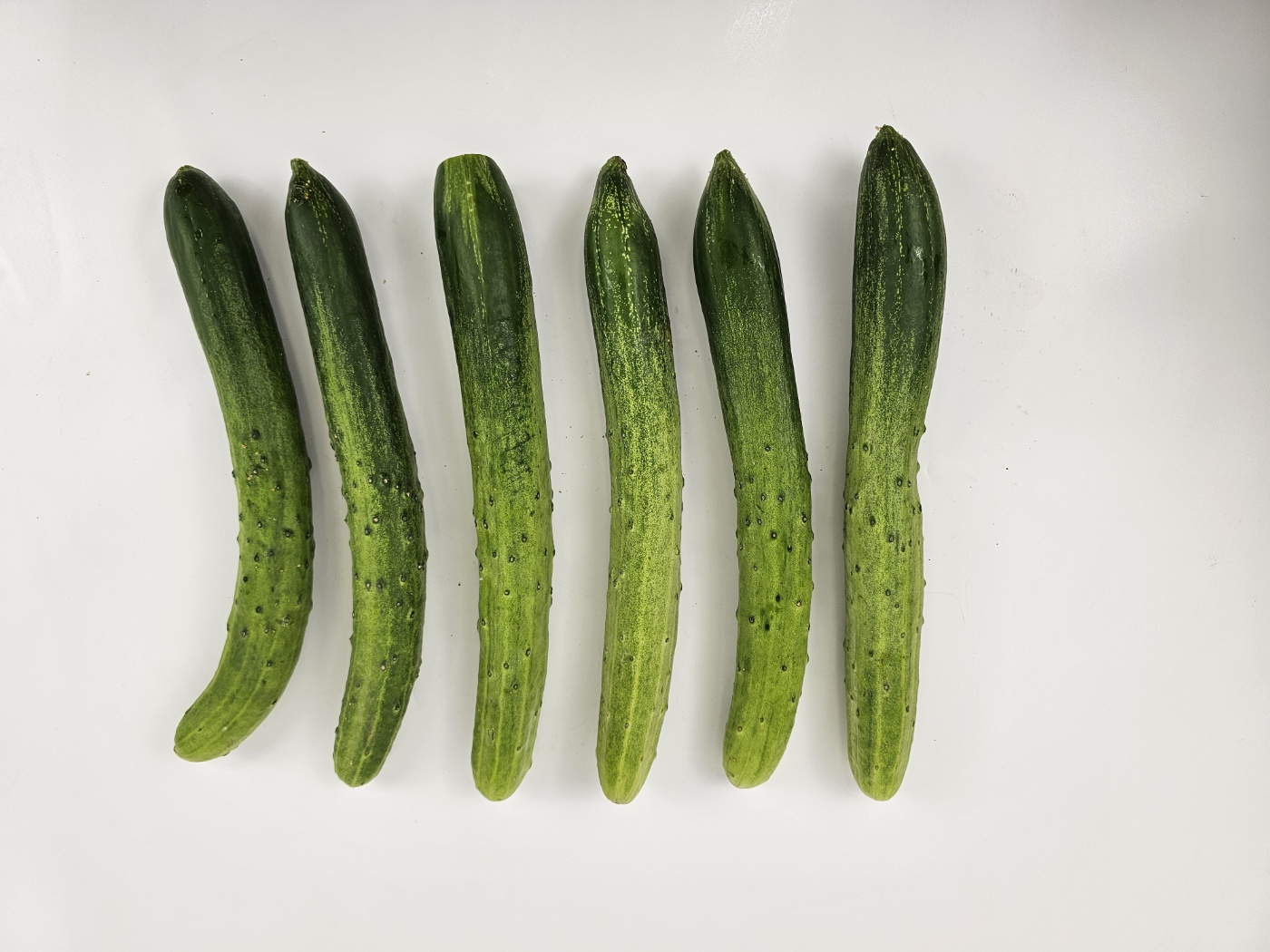 백오이 백다다기 가시오이 1kg 국내산 산지직송 : 센즈마켓