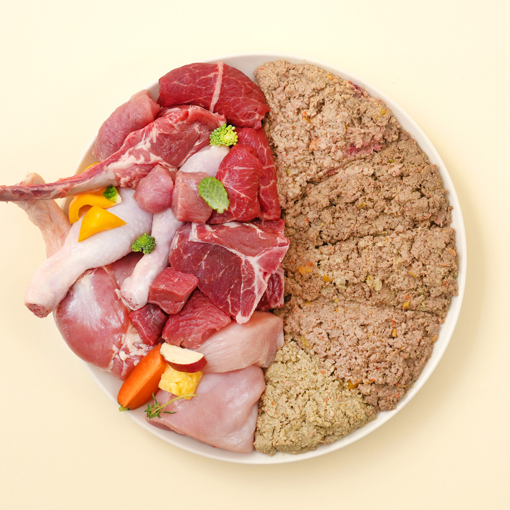 포옹 강아지 화식 자연식 수제 사료 밥 화식선생 400g : 포옹-건강한 펫푸드의 시작