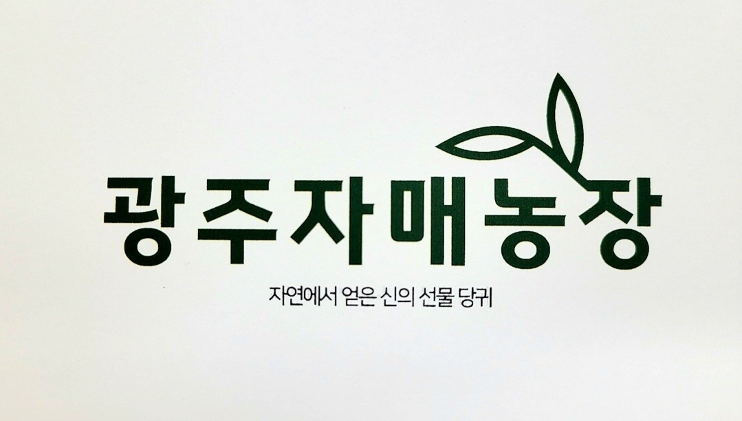 2024년 국내산 당귀  당귀잎 : 광주자매농장