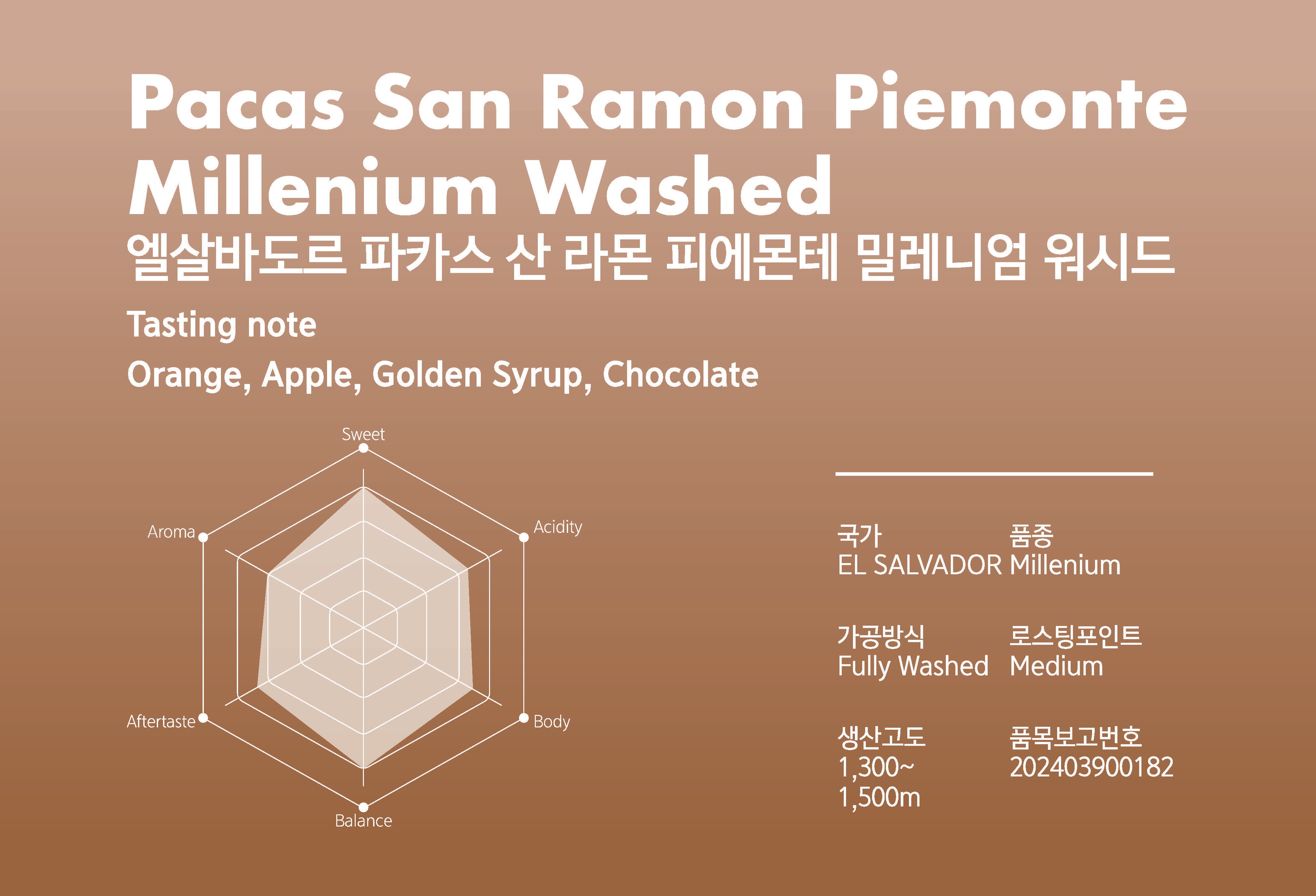 200g 뉴로커피 당일로스팅 원두커피 커피콩 맛있는 싱글 오리진 - 엘살바도르 파카스 산 라몬 피에몬테 밀레니엄 워시드 홀빈 : 뉴로커피