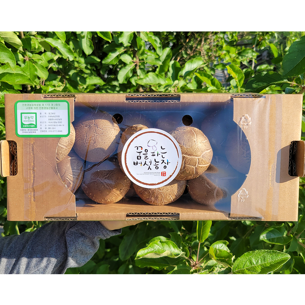 표고버섯 하루 10개 상중품 하품 산지직송 생표고[꿈을파는버섯농장] : 꿈파농장.꿈을파는버섯농장