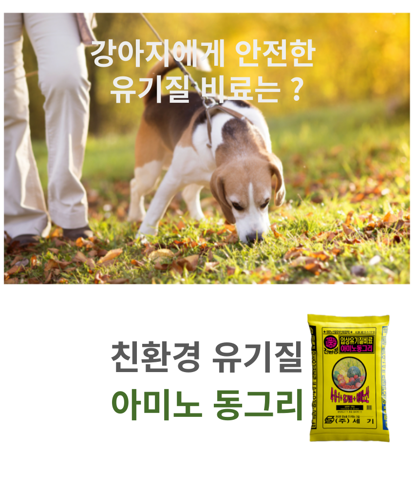 아미노동그리20kg 유박복합비료 아미노산비료 강아지고양이안전비료 유기질친환경 : 청계농사원