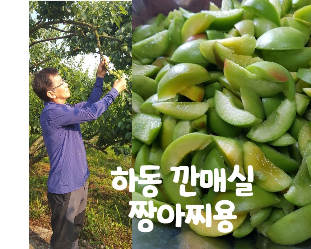 [전통이레식품] 하동 자른 깐매실 짱아찌용 쪼갠매실 800g 1kg : 전통이레식품