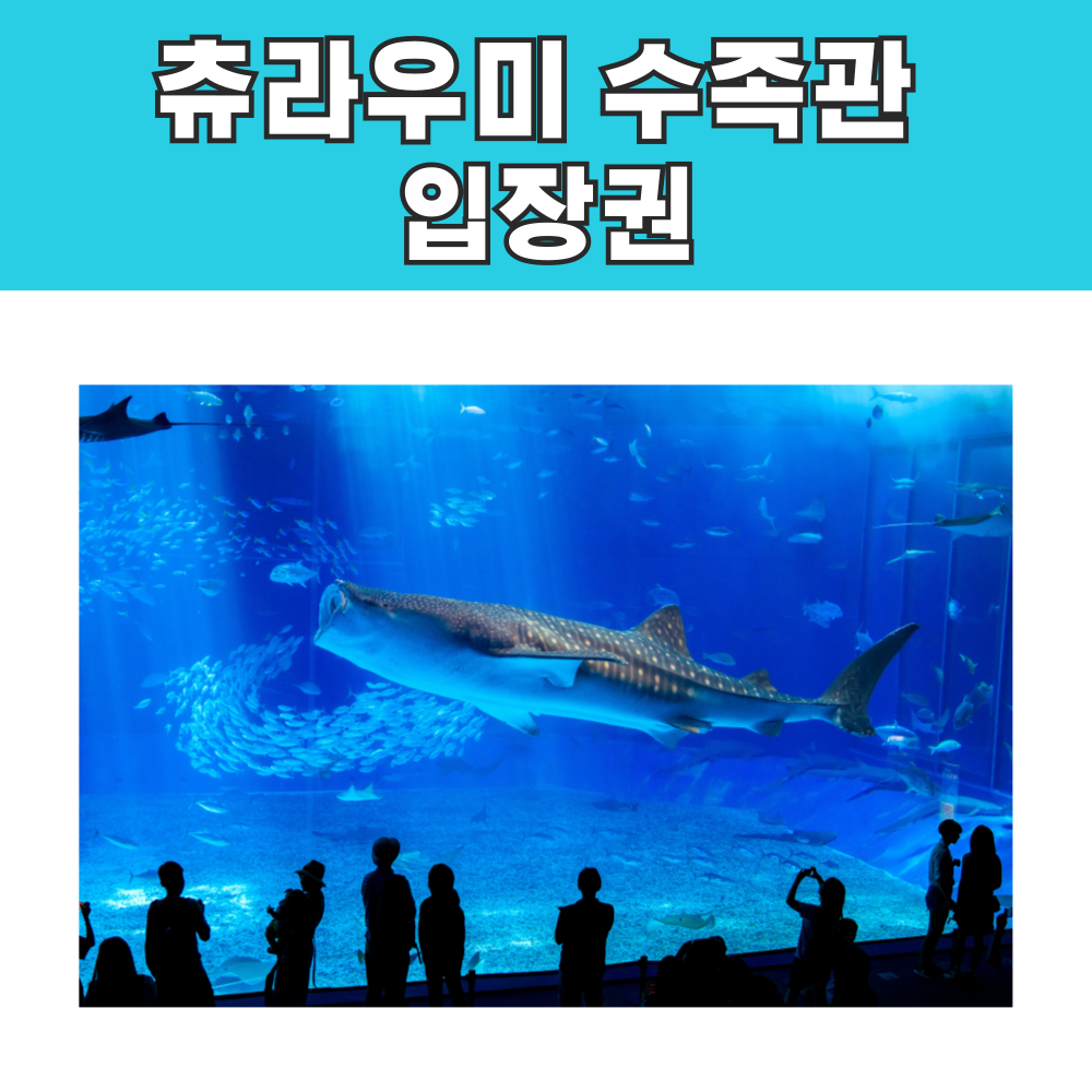 오키나와 츄라우미 수족관 입장권 / e바우처 발송 : 오마이호텔앤코