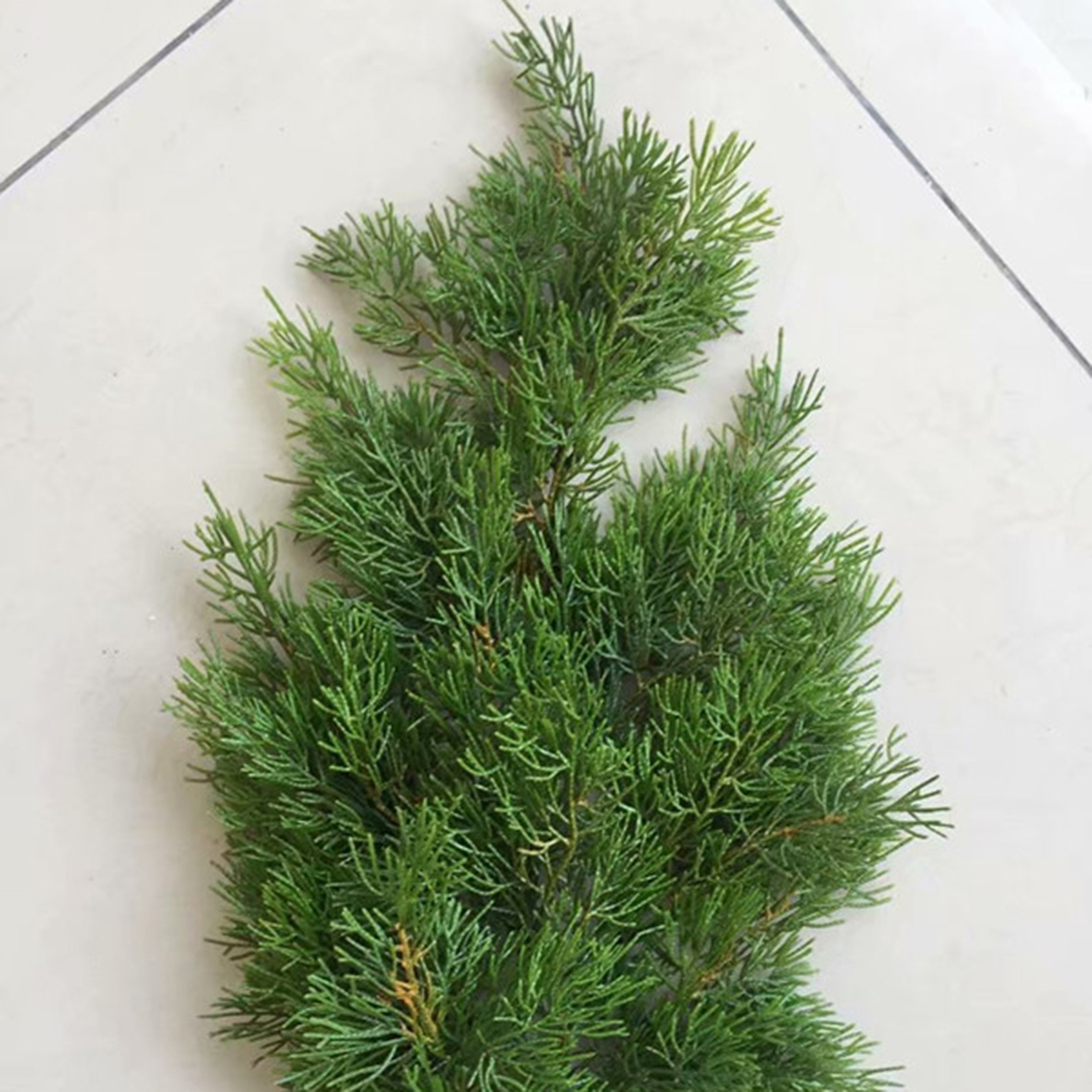 백송 조화나무 6P (50cm) : ANGELIVE