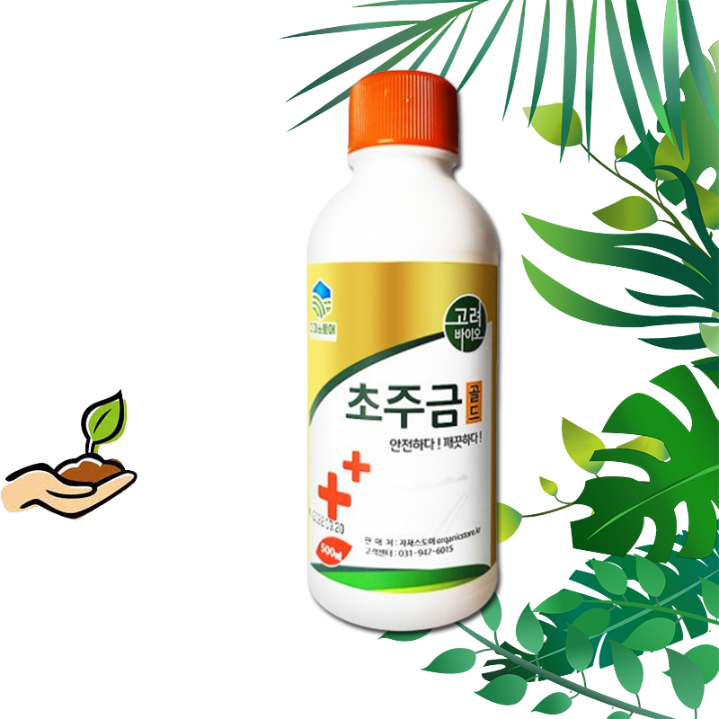 차차미 초주금 골드 500ml : 주식회사 차차미
