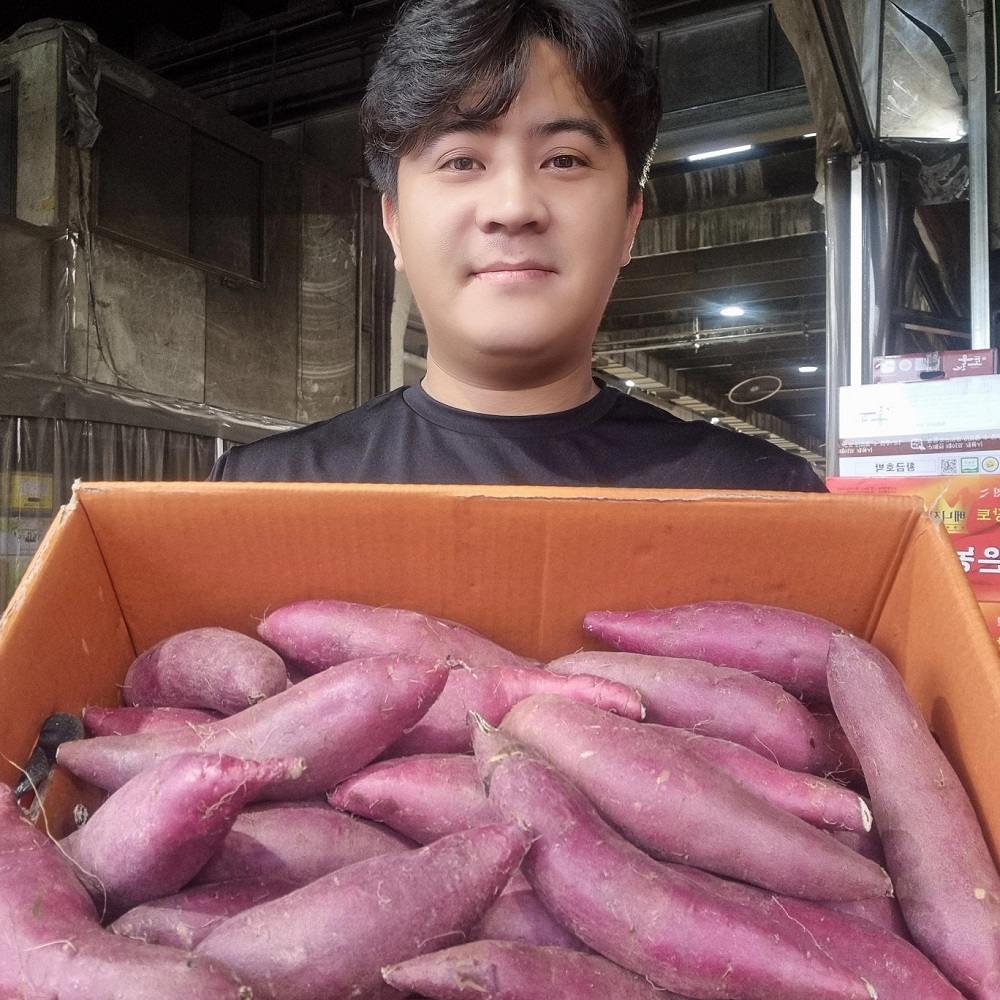 해남 영암 토울황토고구마 못난이 꿀 고구마 10키로 10kg 5kg 3kg : 가락시장 목포상회 과일