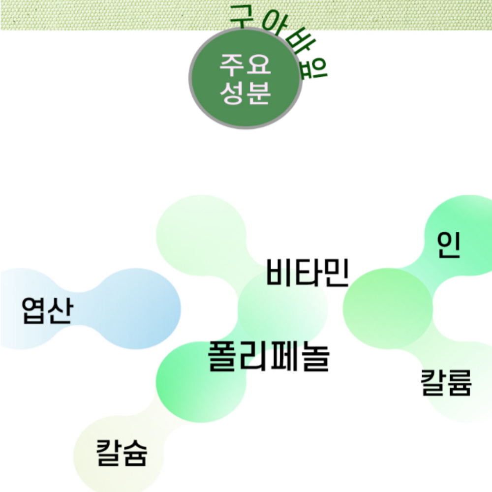 구아바잎 분말 200g 국내산 100% [엄마애손] 신비의 열매 구아바 : 나나몰 nanamall
