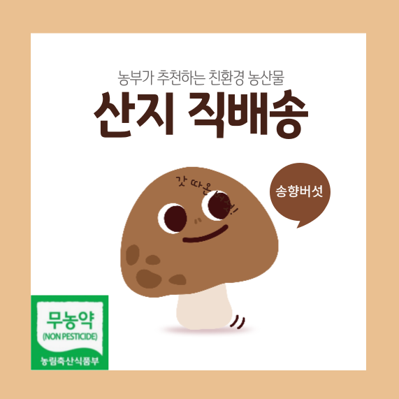 무농약 송향버섯 표고버섯 송이버섯 송화 송고 못난이 파지 슬라이스 건버섯 500g 1kg : 대한민국친환경