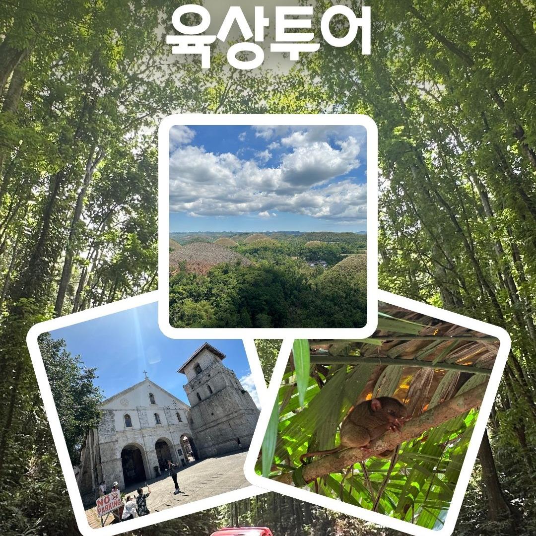 보홀 육상투어 단독차량렌트 기사유류비 현지가이드포함/단독차량 자유일정 : 투어레코드