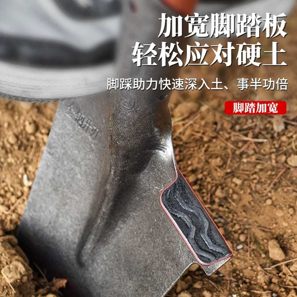 좁은묘목삽나무도랑땅파기분묘 : 꿈꾸는 애리네