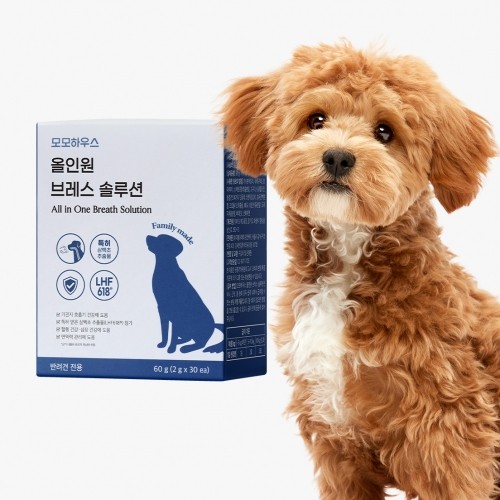 강아지 모모하우스 브레스 솔루션 60g 호흡기 기관지 협착증 면연력 심장 항산화 영양제 : 반약