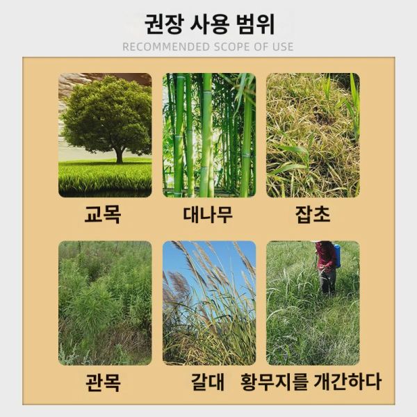 사이클로아진대원목,고사 전용약인 사이클로아진 제거제 500g : 왕호야13