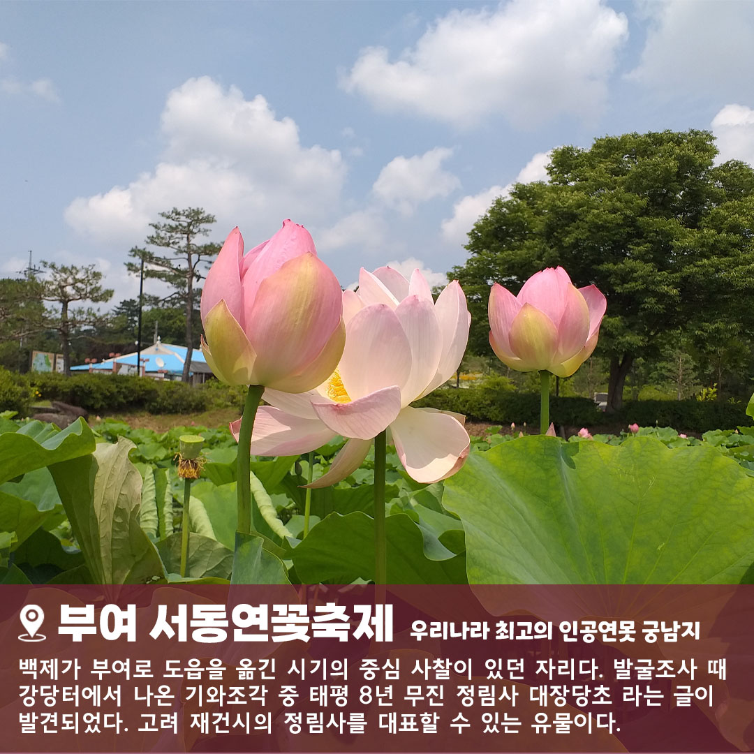 [7월&부여] 역사와 문화의 향기 부여 투어 : 초록배낭